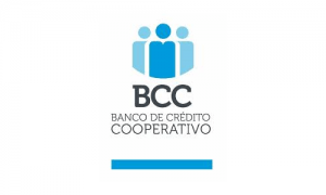 Logo BCC Opt